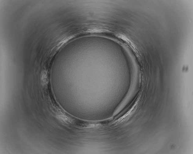 X0000096391353200801241251