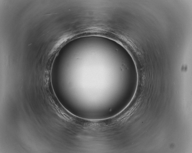 X0000096391355200801241251