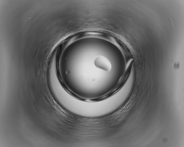 X0000096391356200801241251