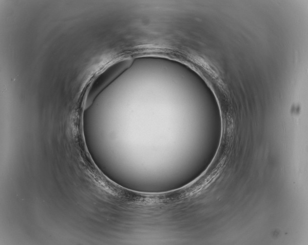 X0000096391357200801241251