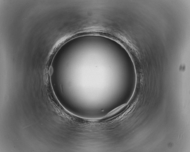 X0000096391358200801241251