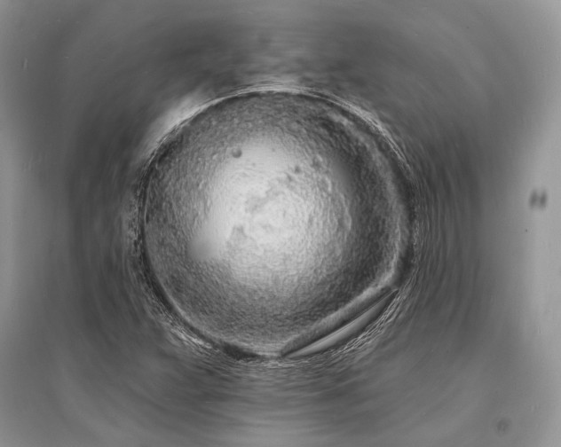 X0000096391359200801241251