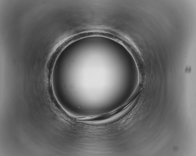 X0000096391360200801241251