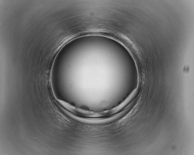 X0000096391361200801241251