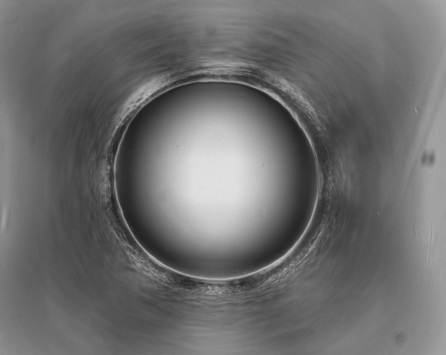 X0000096391362200801241251