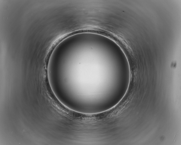 X0000096391363200801241251