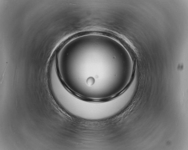 X0000096391364200801241251