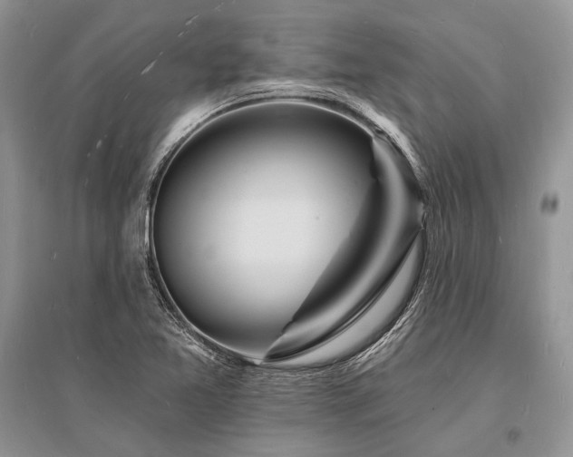 X0000096391365200801241251