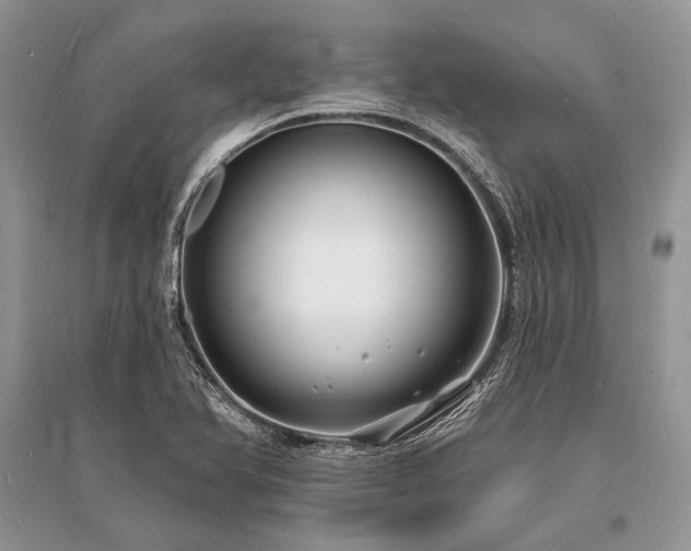 X0000096391366200801241251