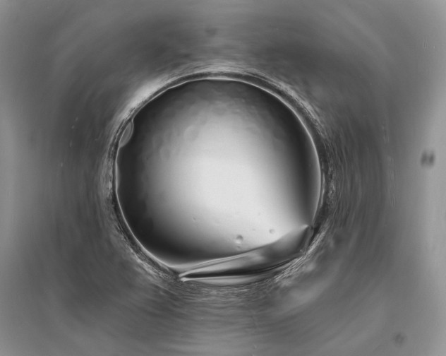 X0000096391367200801241251