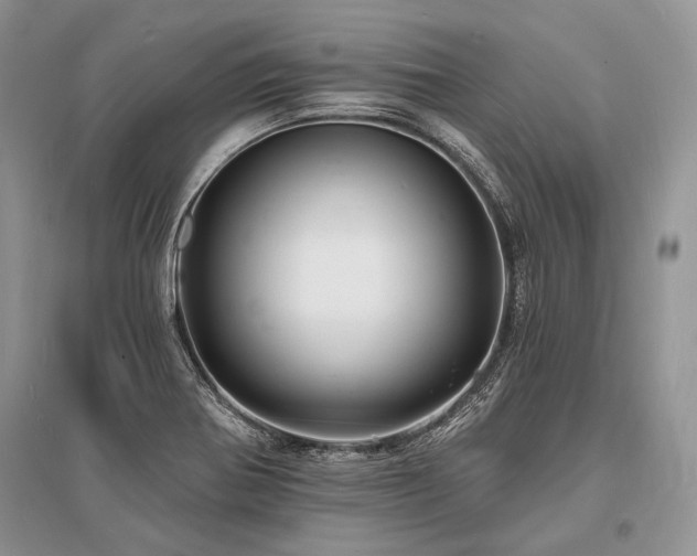 X0000096391370200801241251
