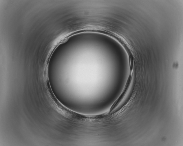 X0000096391371200801241251