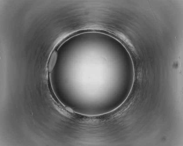X0000096391372200801241251