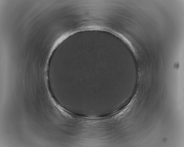 X0000096391373200801241251