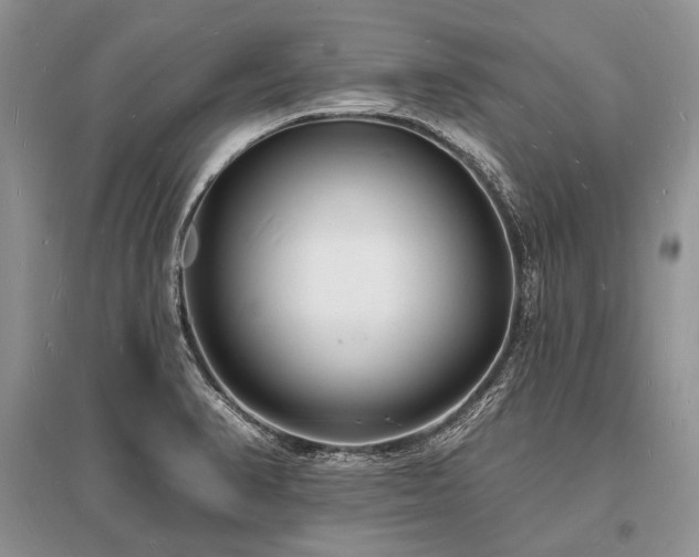 X0000096391374200801241251