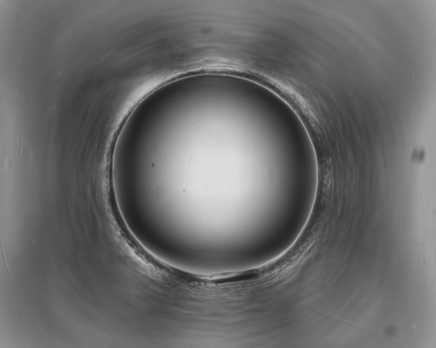 X0000096391375200801241251