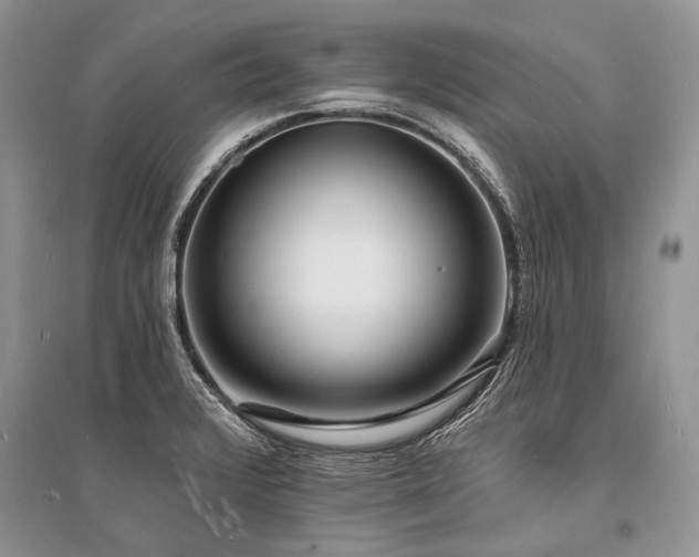 X0000096391376200801241251