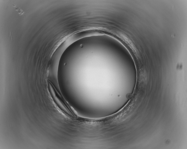 X0000096391377200801241251