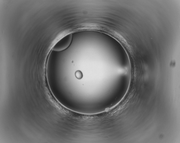 X0000096391378200801241251
