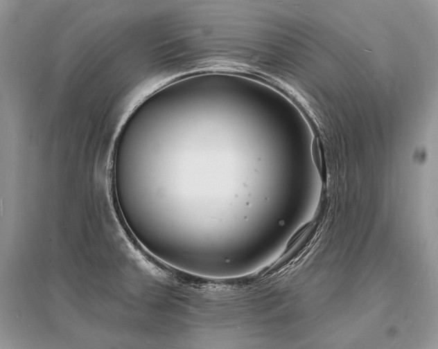 X0000096391379200801241251