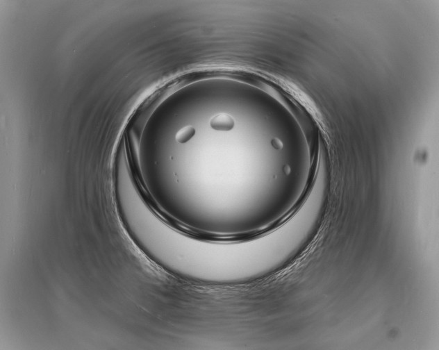 X0000096391380200801241251