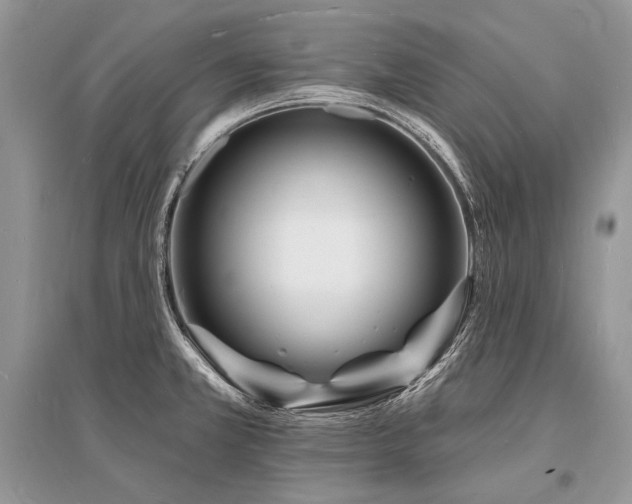 X0000096391381200801241251