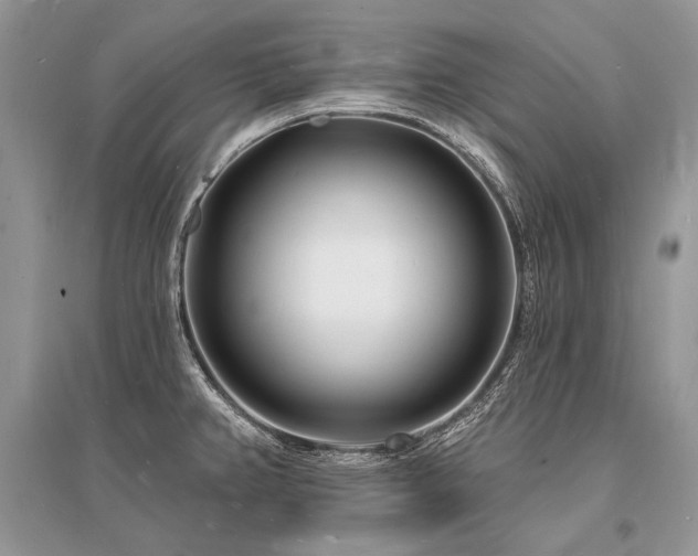 X0000096391382200801241251