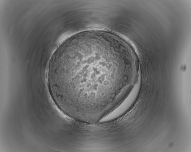 X0000096391383200801241251