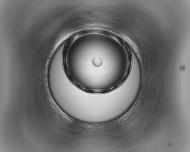 X0000096391384200801241251