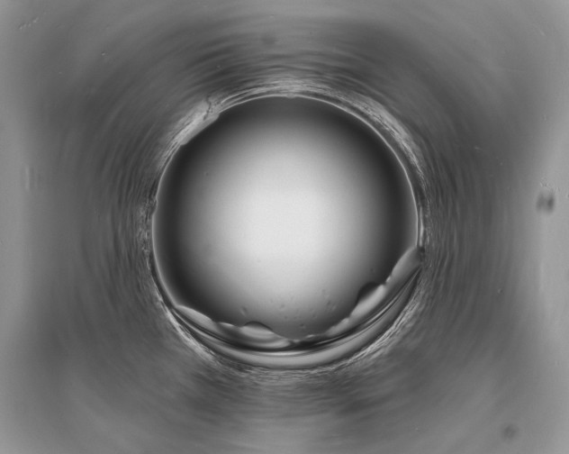 X0000096391385200801241251