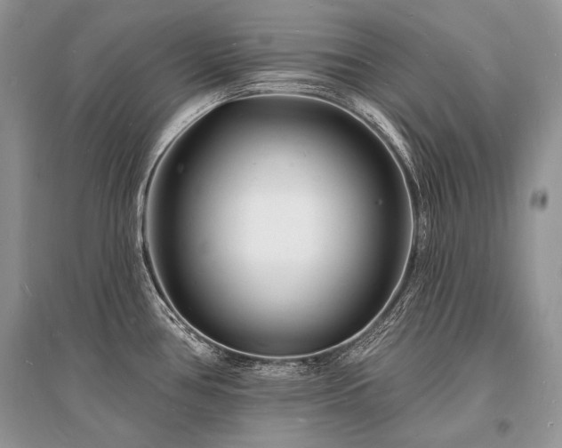 X0000096391386200801241251