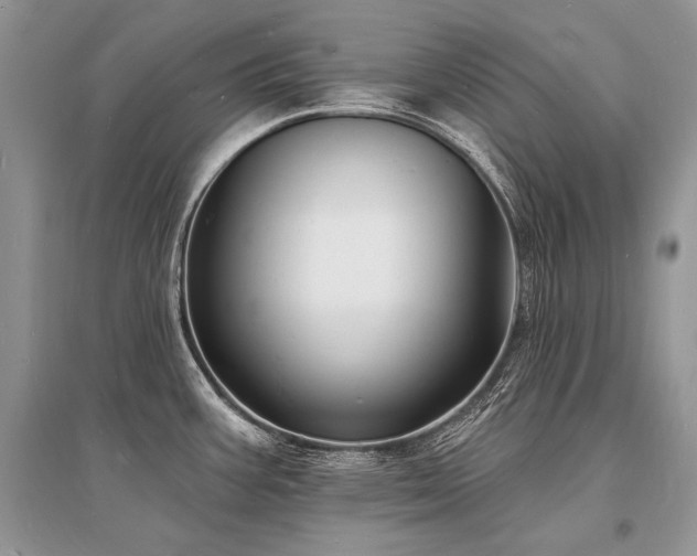 X0000096391387200801241251