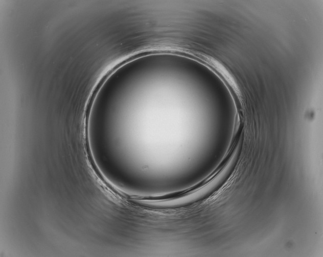 X0000096391388200801241251