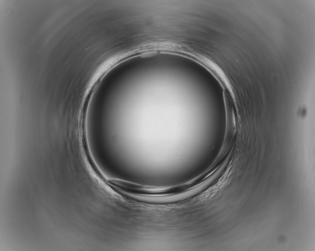 X0000096391389200801241251