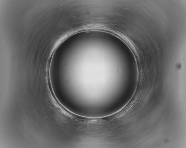 X0000096391390200801241251