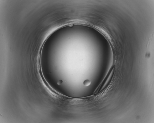 X0000096391391200801241251