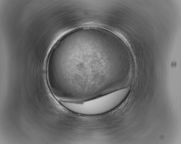 X0000096391392200801241251