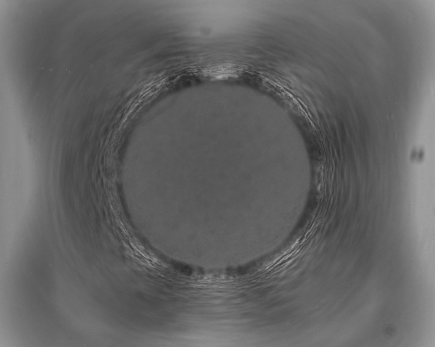 X0000096391393200801241250
