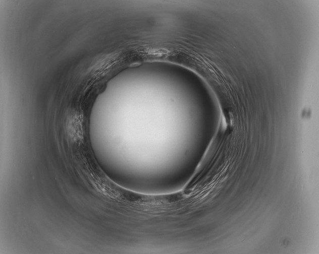 X0000096391394200801241250