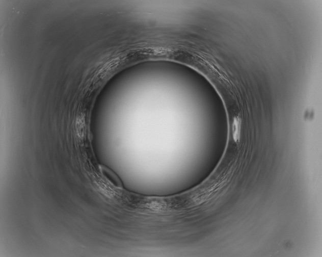 X0000096391395200801241250