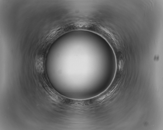 X0000096391396200801241250