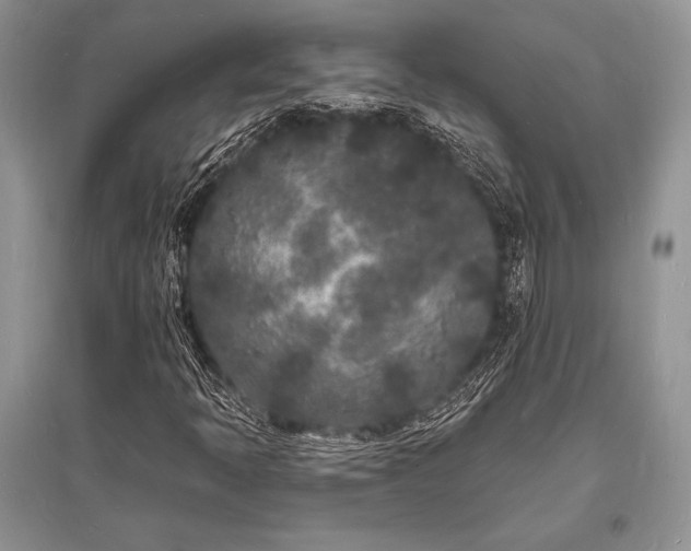 X0000096391397200801241250