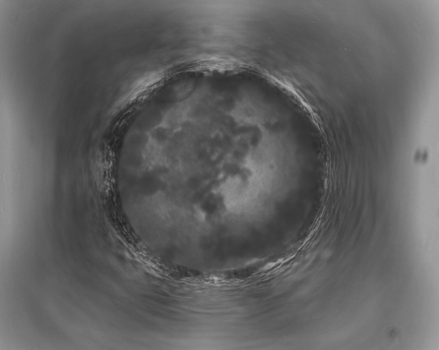 X0000096391399200801241250