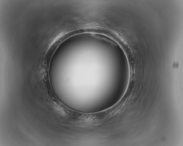 X0000096391400200801241250