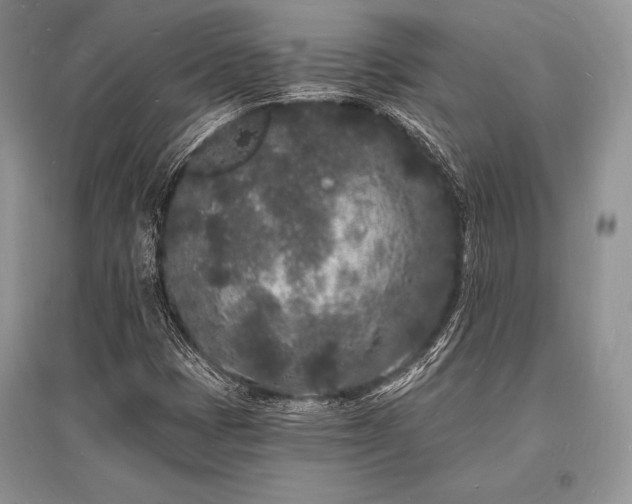 X0000096391401200801241250