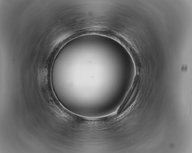 X0000096391402200801241250