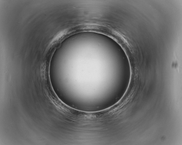 X0000096391403200801241250
