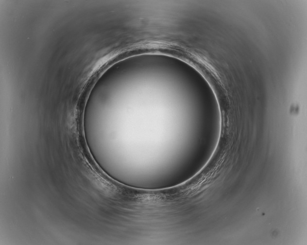 X0000096391404200801241250
