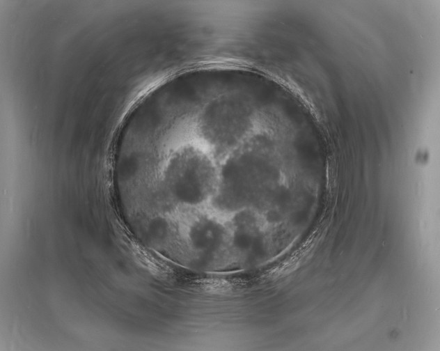 X0000096391405200801241250