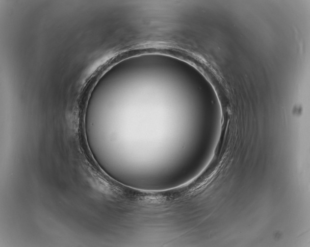 X0000096391406200801241250